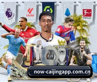 彩经网 APP | caijingwang